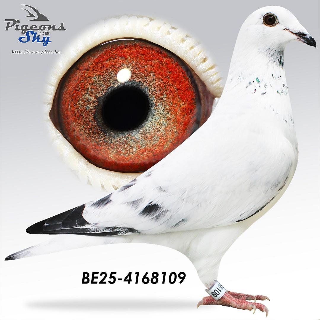 BE25-4168109