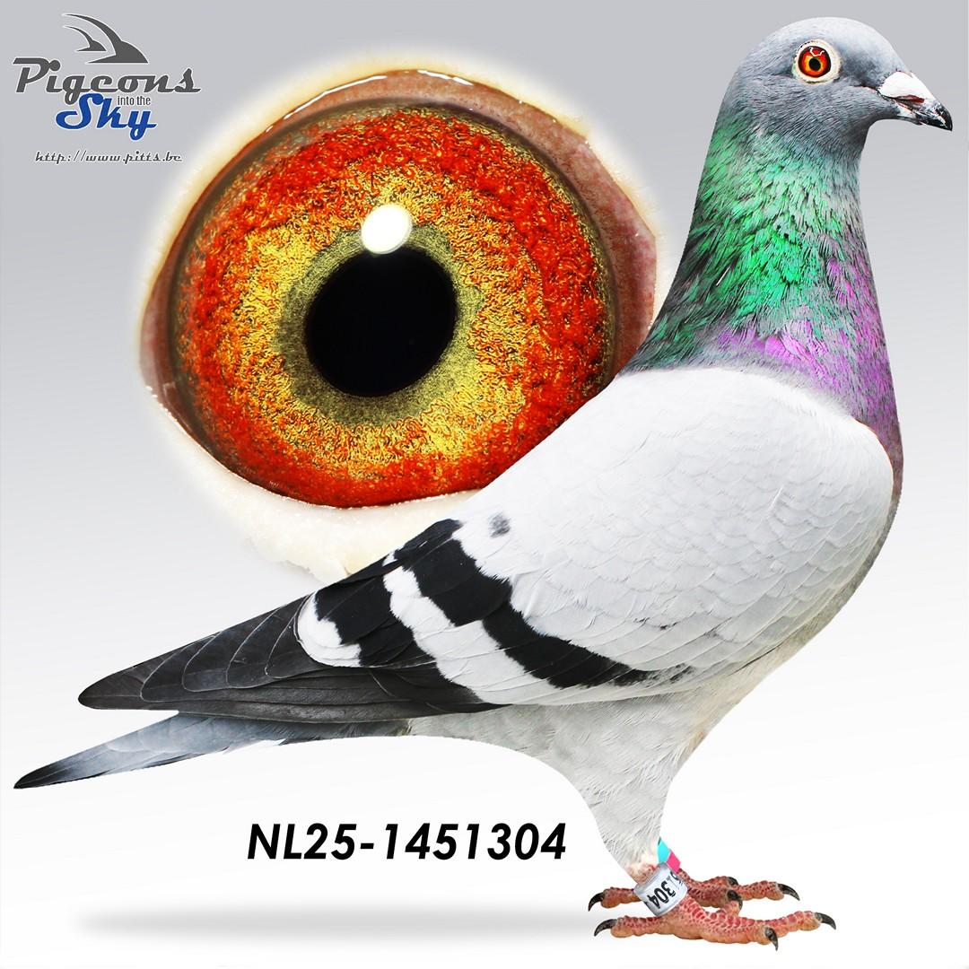 NL25-1451304
