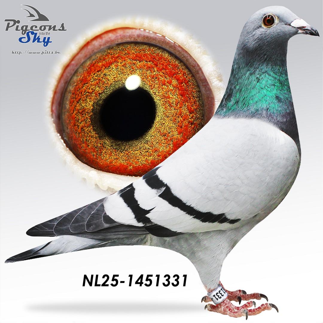 NL25-1451331