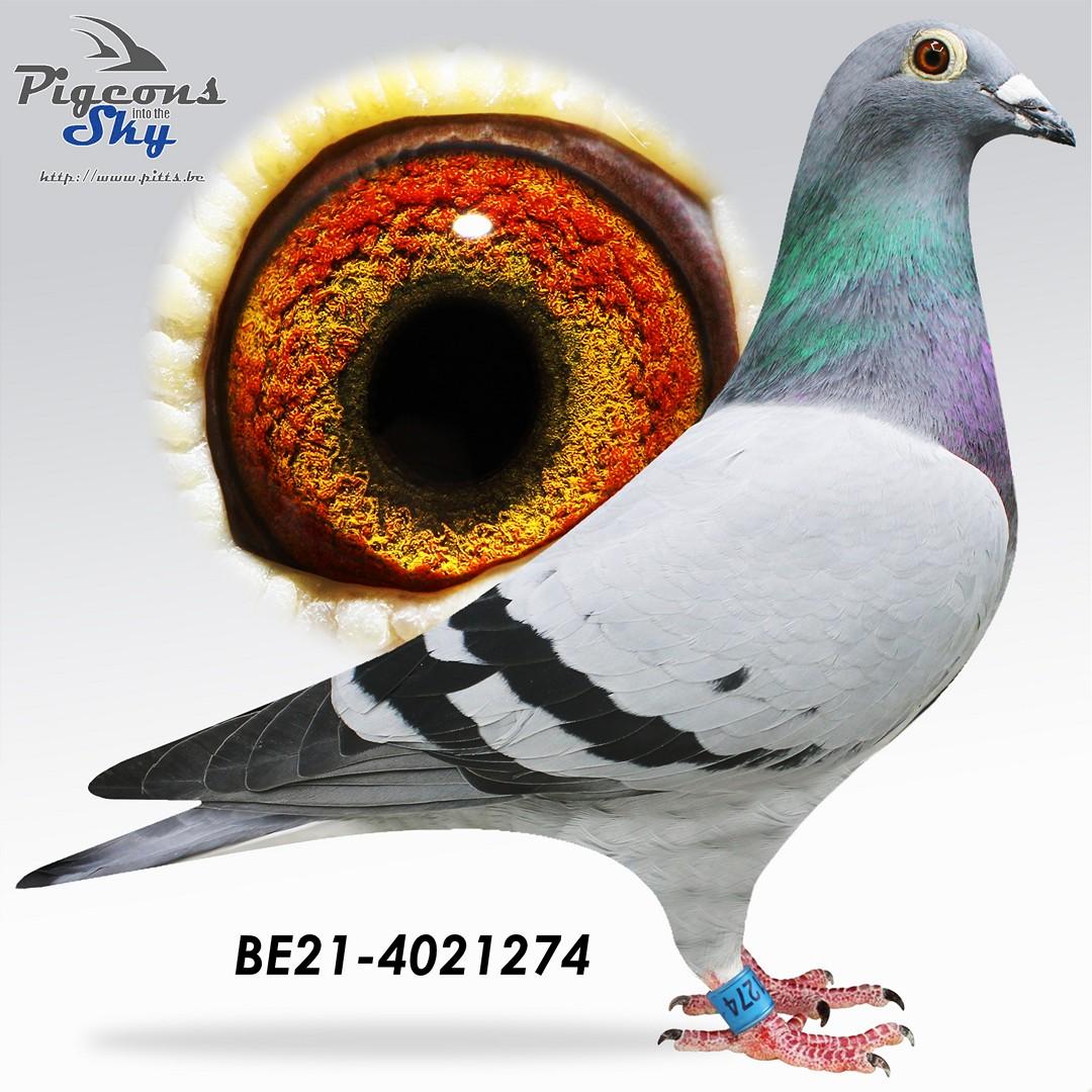 BE21-4021274