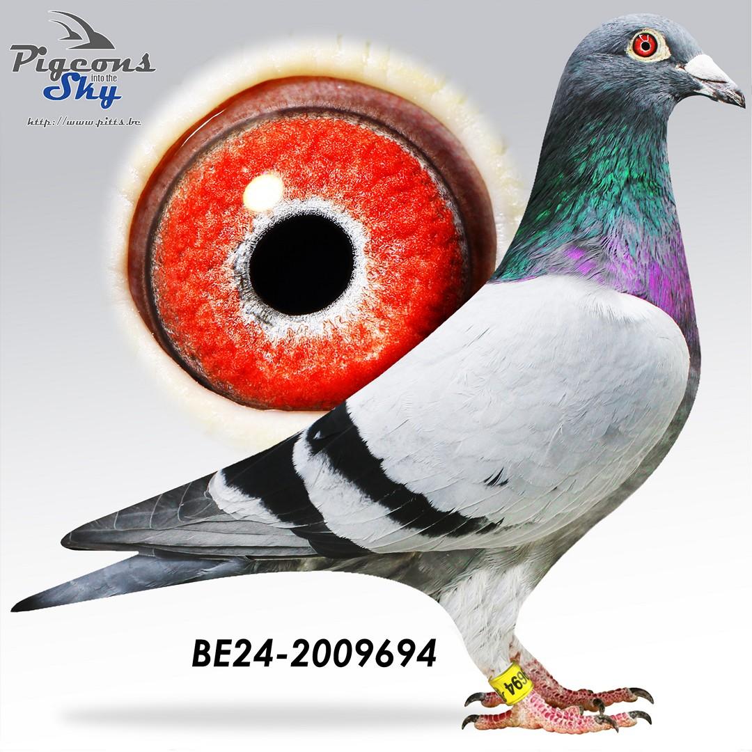 BE24-2009694