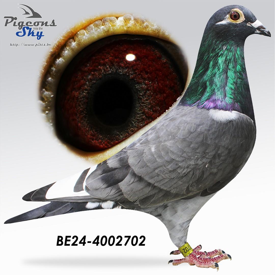 BE24-4002702