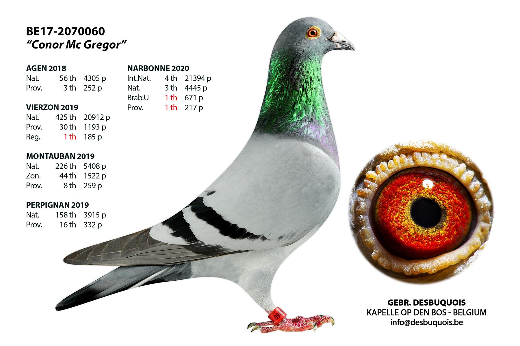 Desbuqouis - Conor Mc Gregor