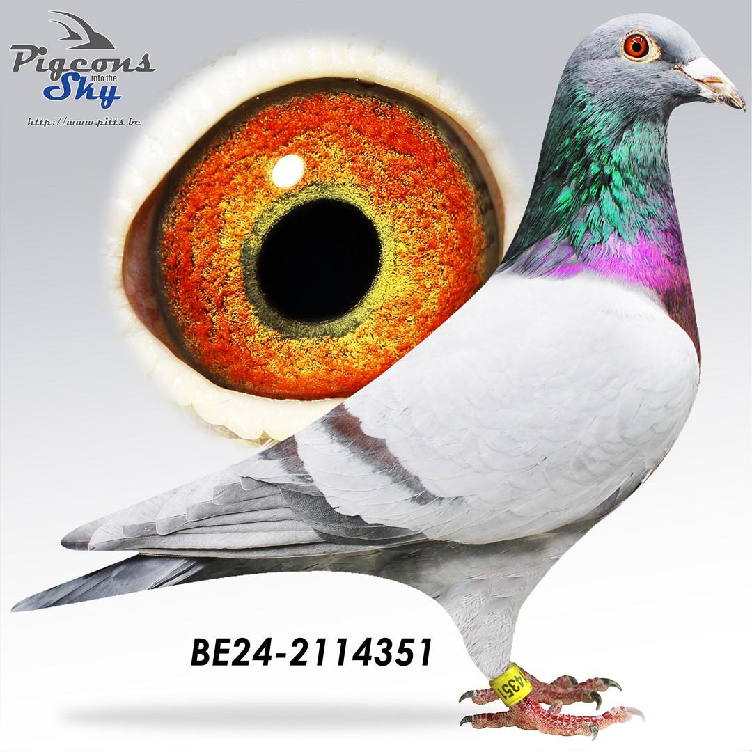 BE24-2114351