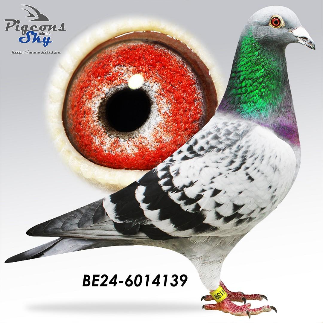 BE24-6014139