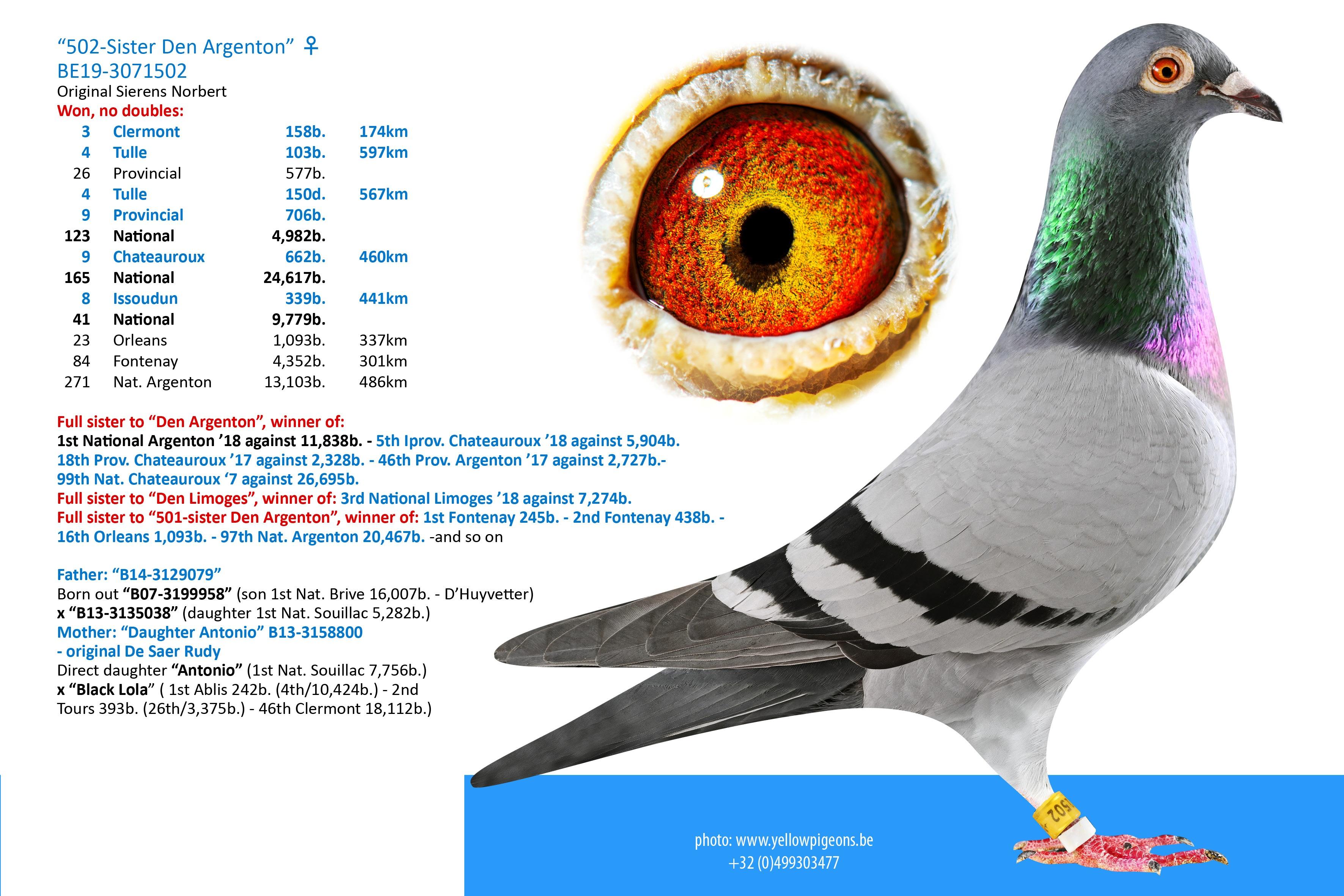 Sis Den Argenton BE19-3071502