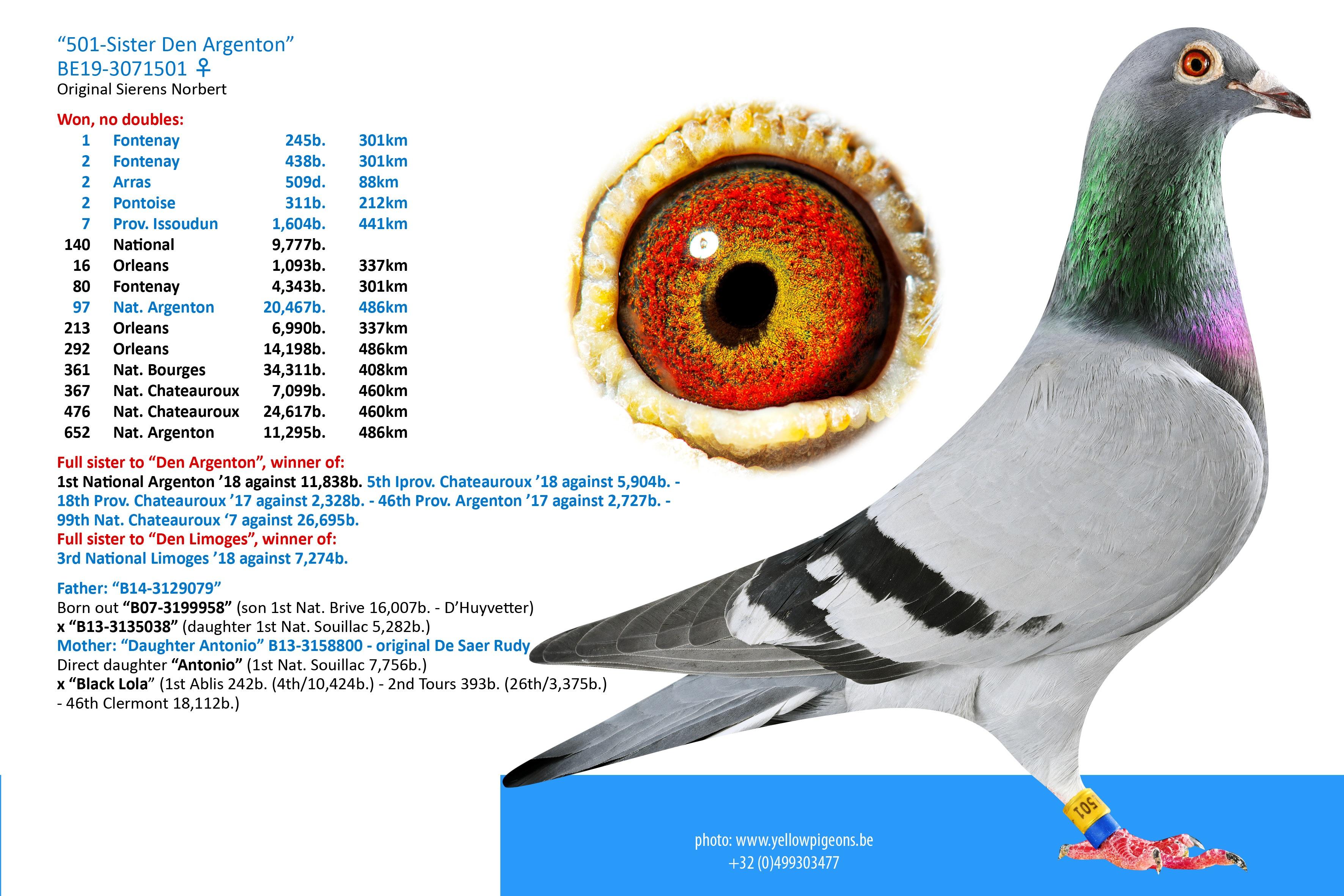 Sis Den Argenton BE19-3071501