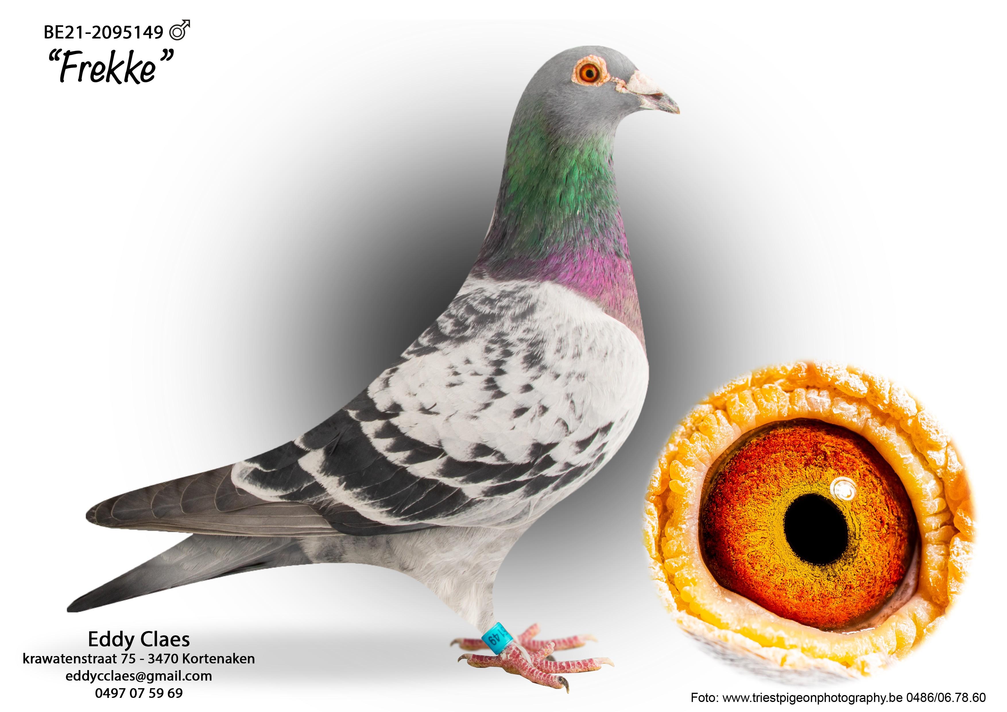 FrekkeBE21-2095149