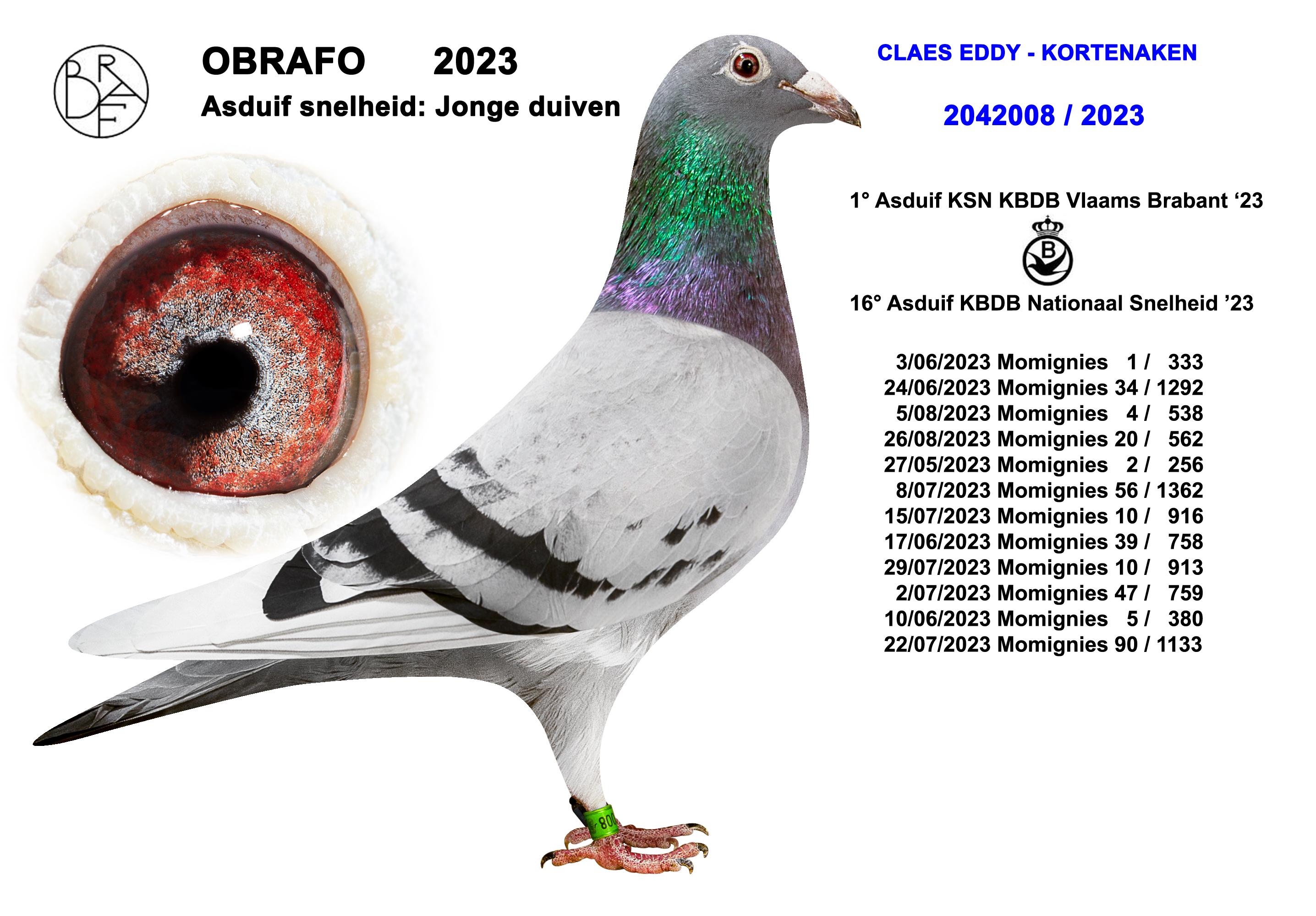 Bond Girl 2042008-23 Bond-Girl