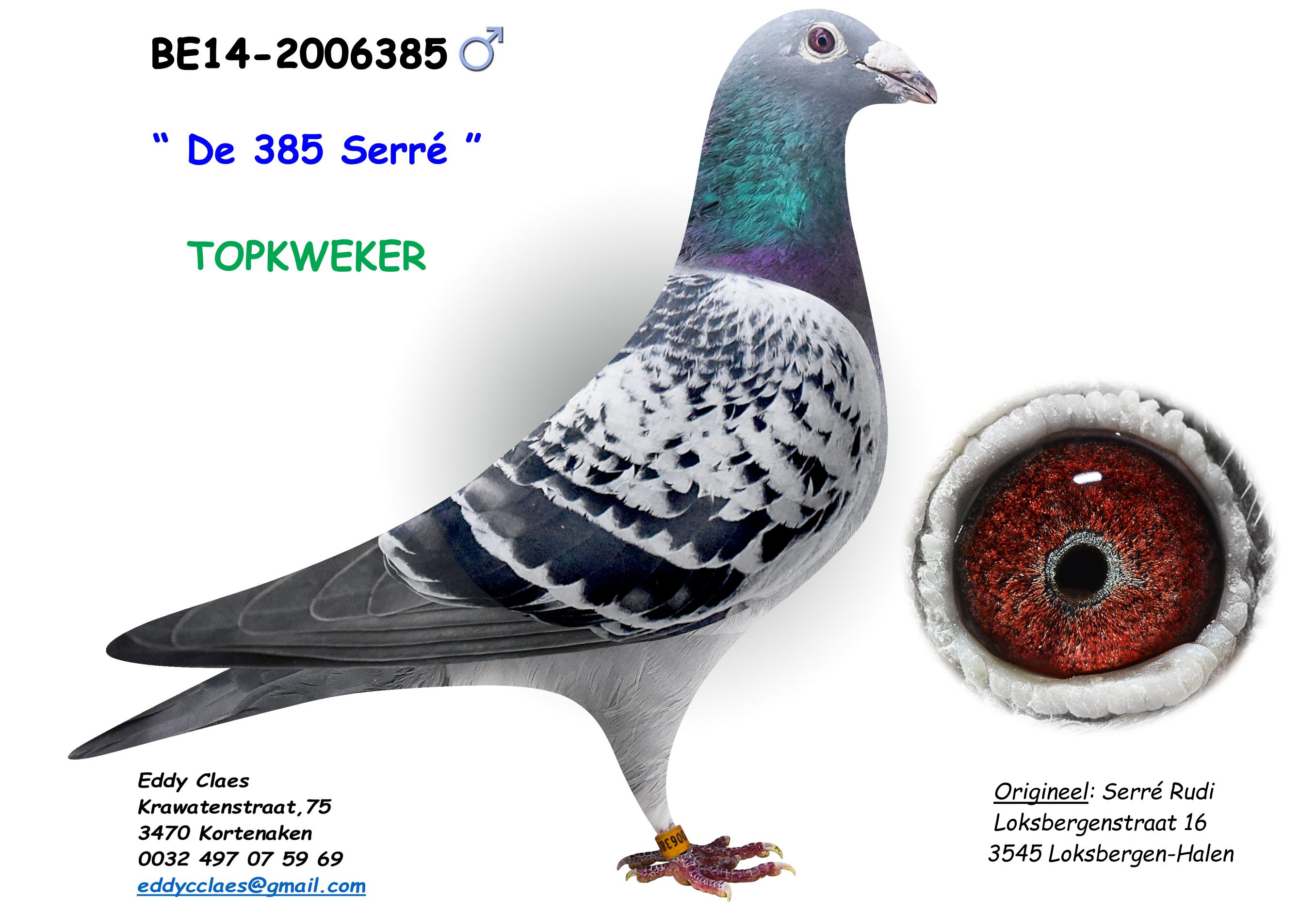 De 385 Serré 2006385-14