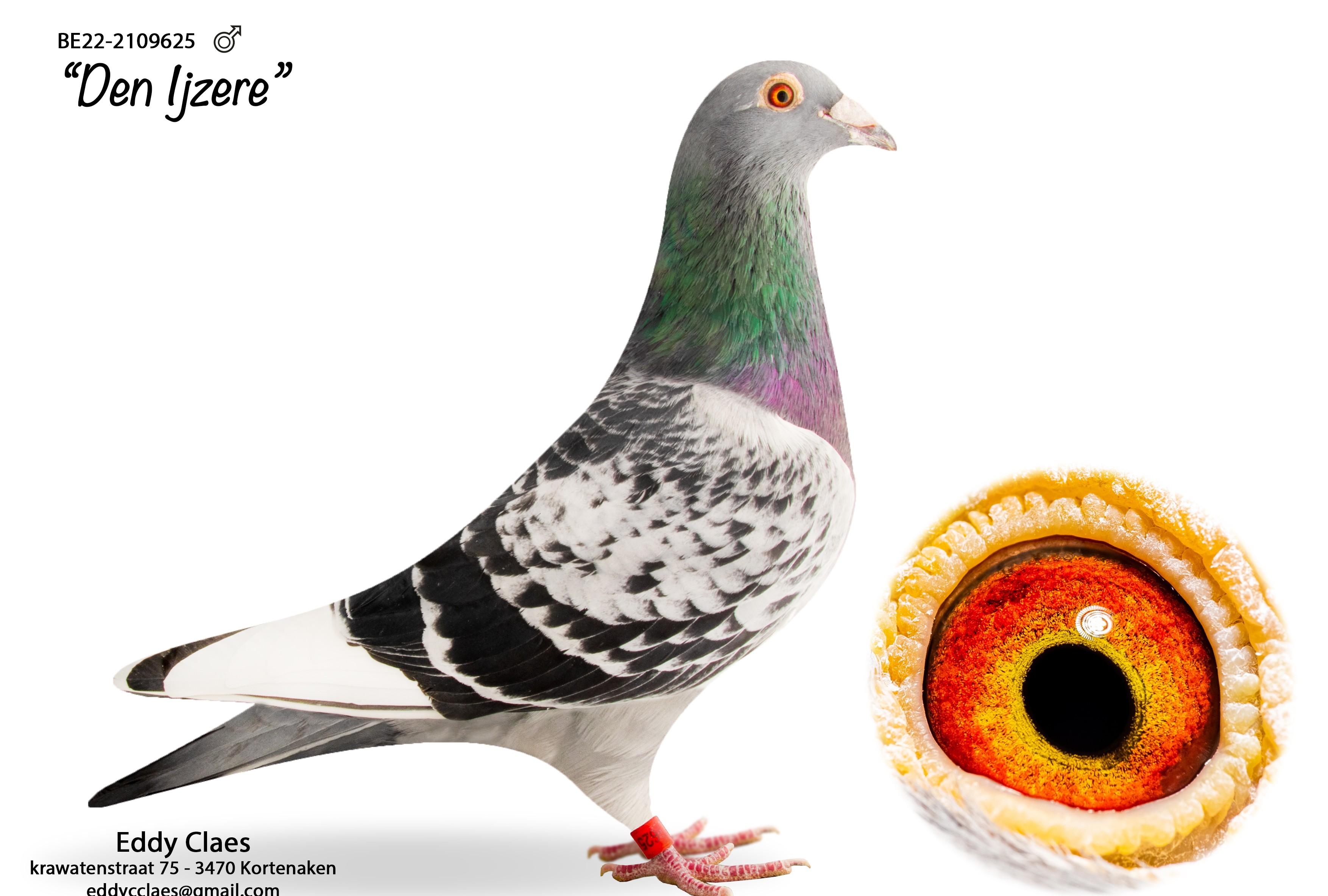 Den Ijzere BE22-2109625