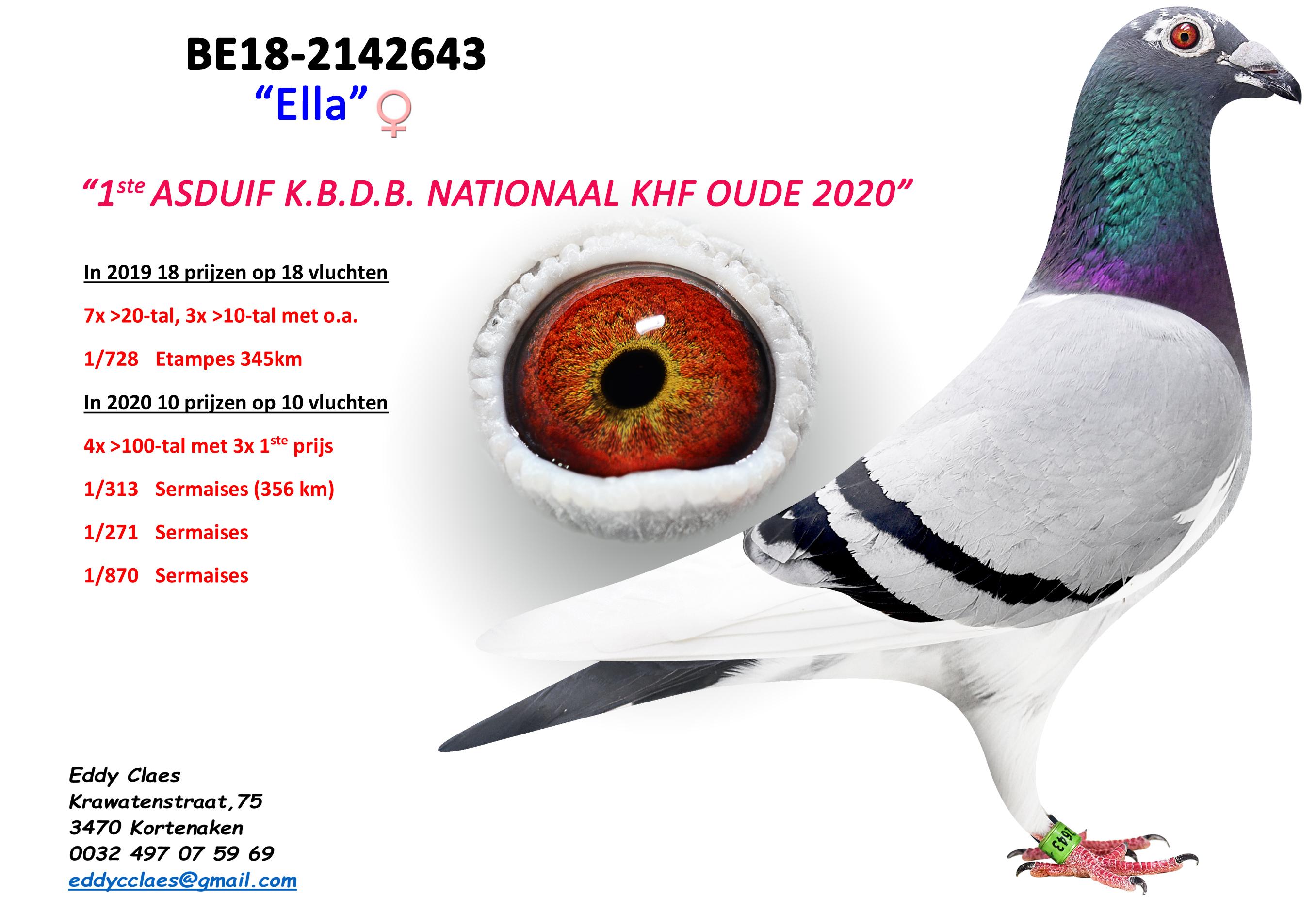 Ella BE18-2142643 ELLA V4