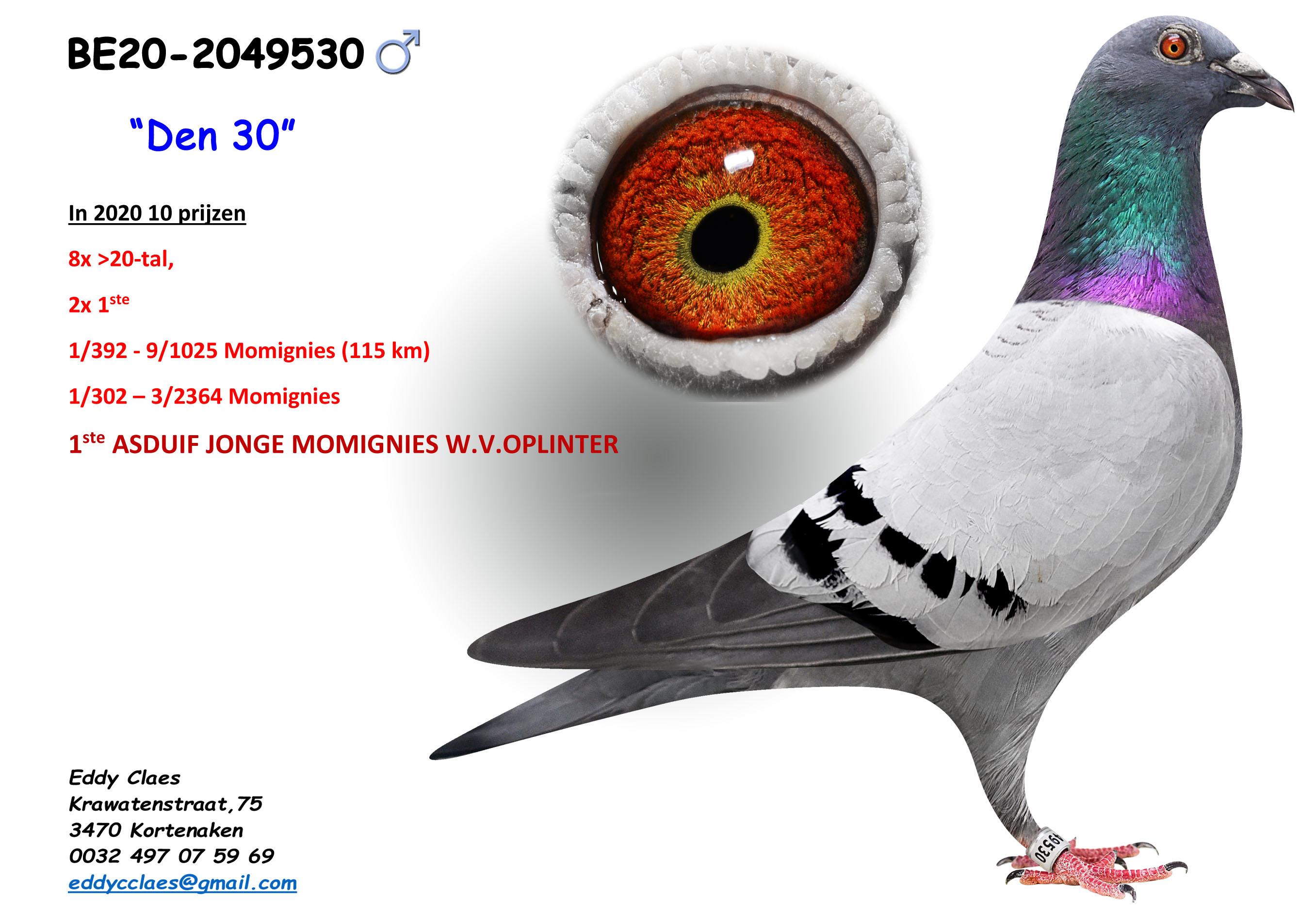 Den 30 BE20-2049530 V2