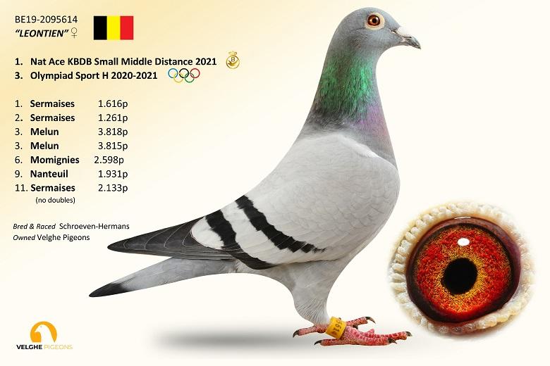 Leontien BE19-2095614-Leontien-Kopie