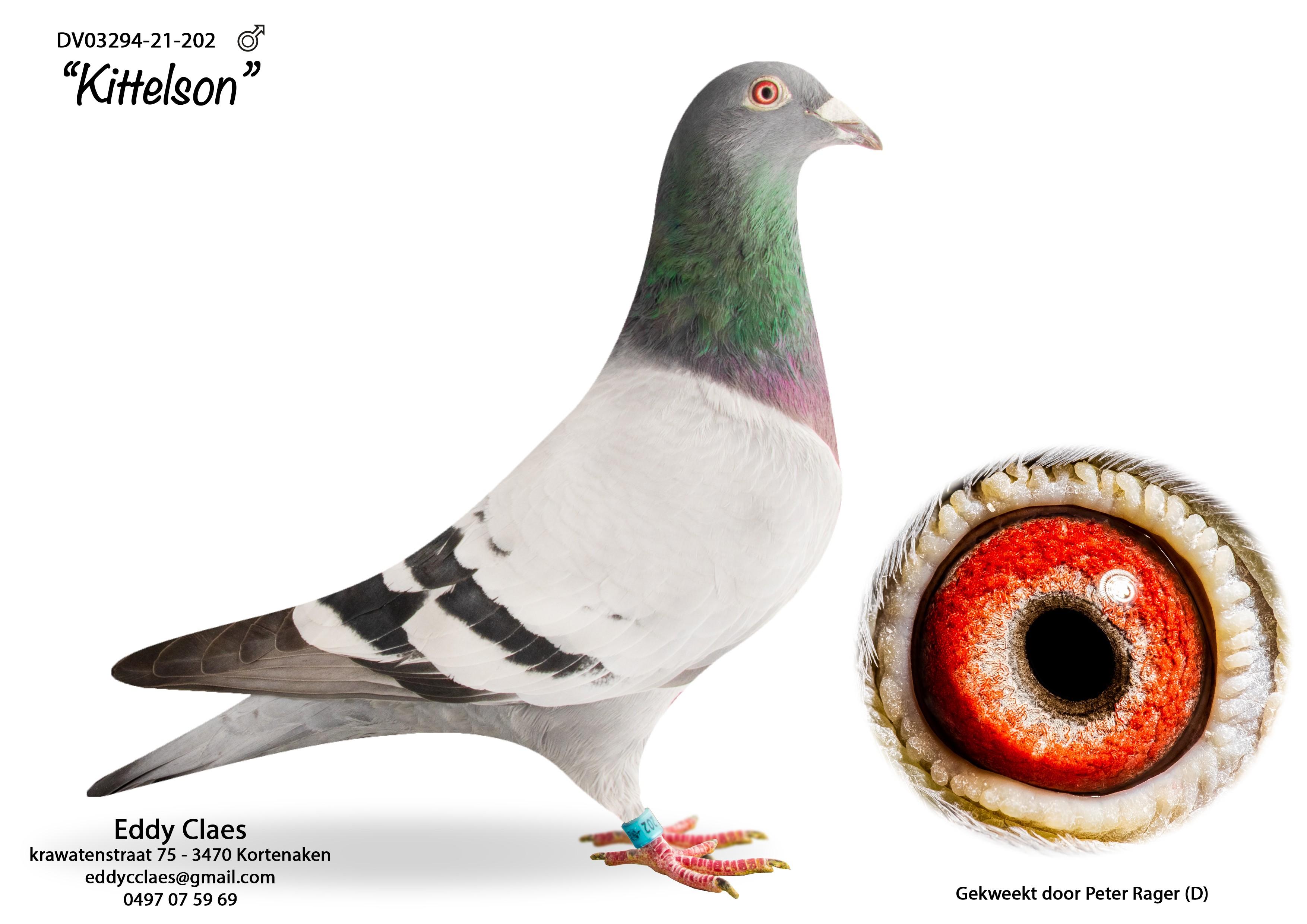 Kittelson DV03294-21-202