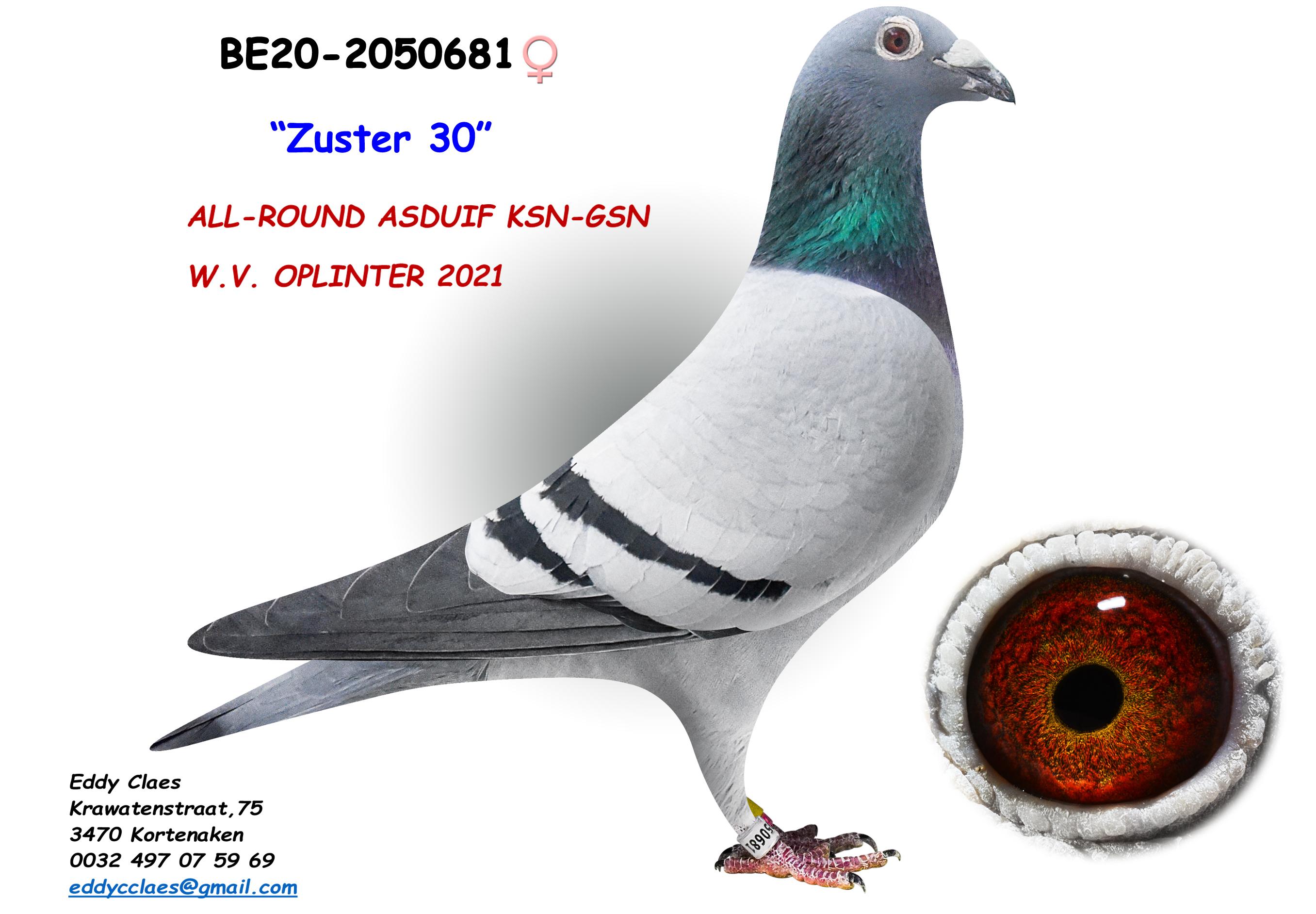 Zuster 30 2050681-20 zus 30