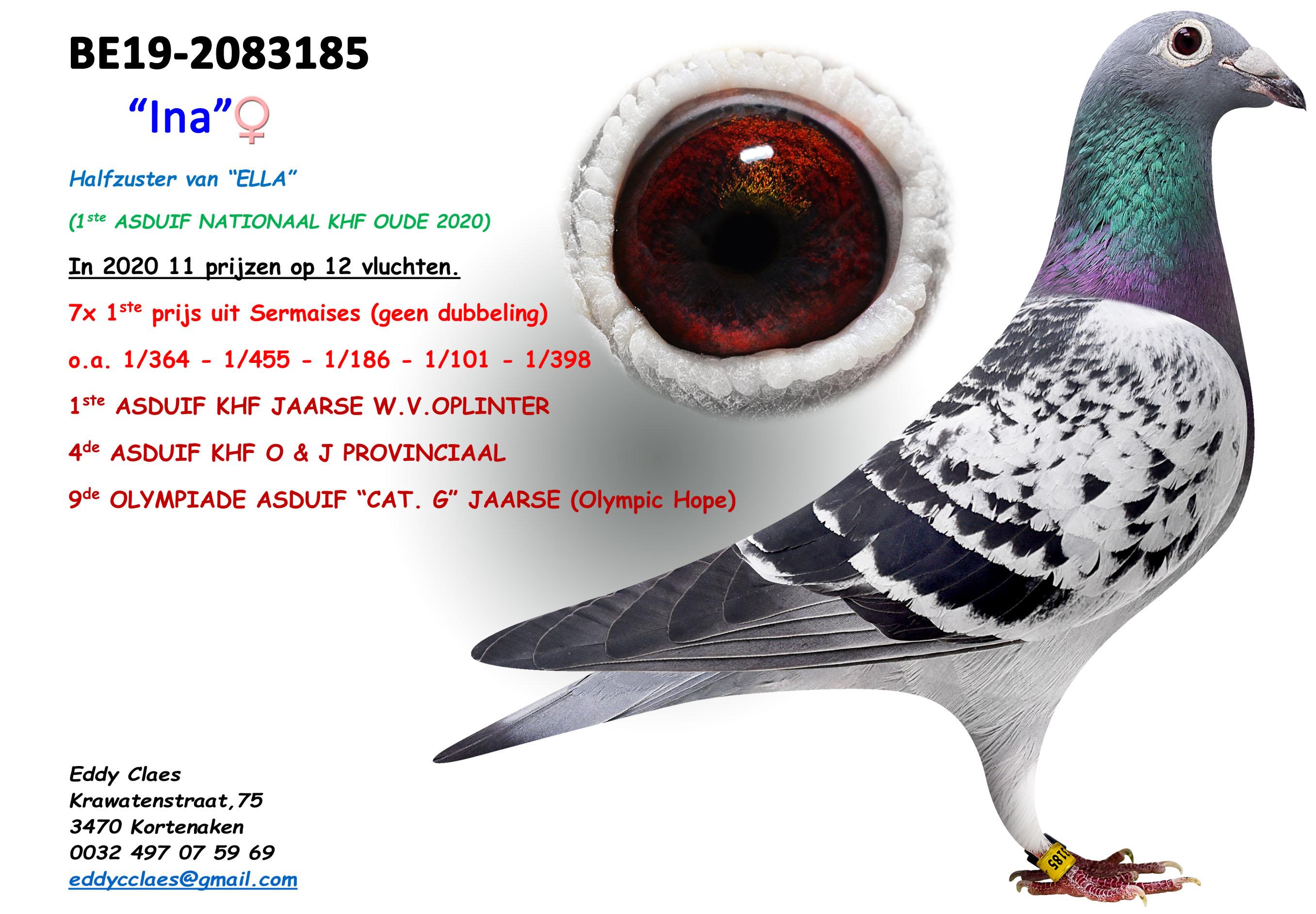 Ina BE19-2083185 INA V2