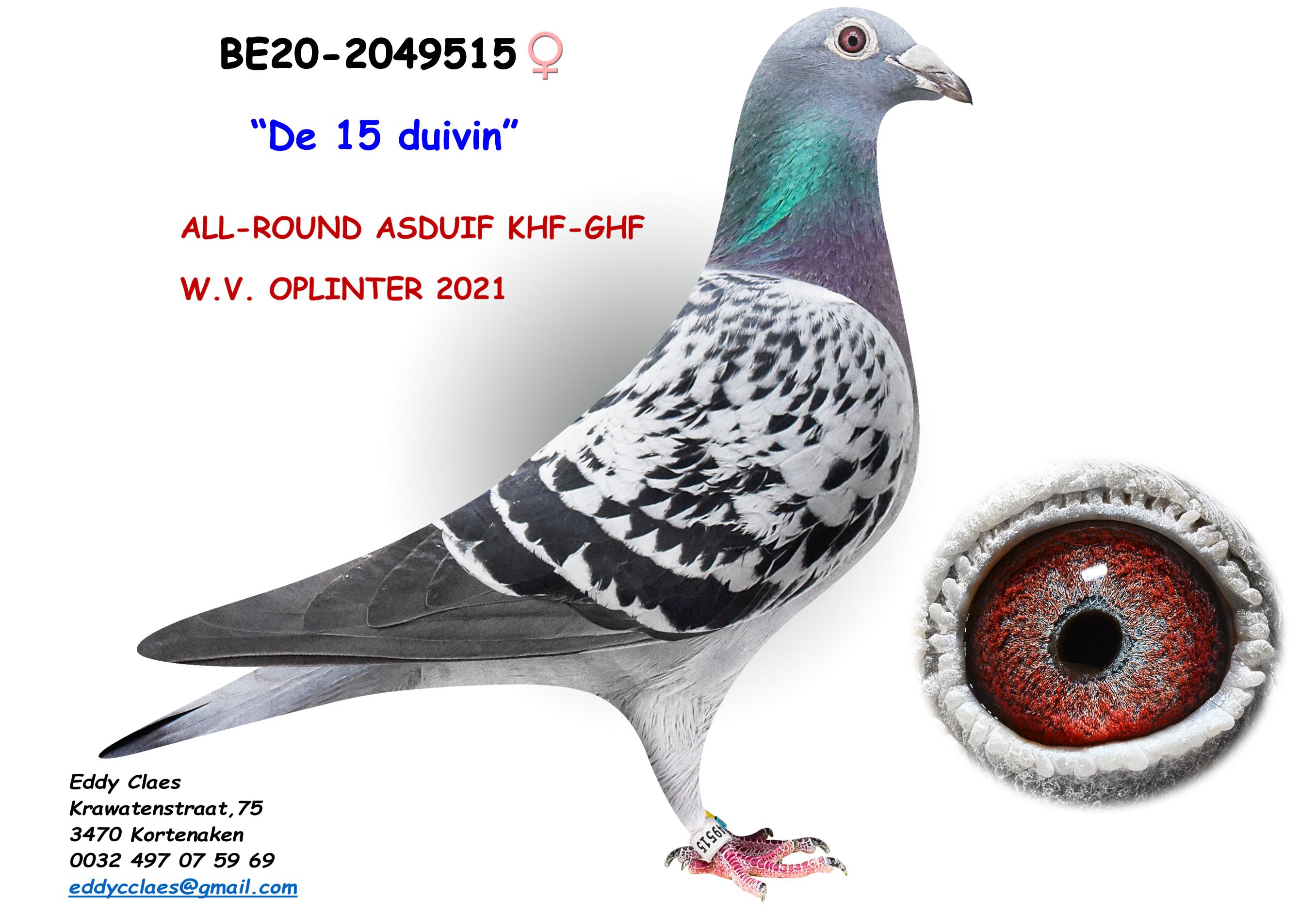 De 15 Duivin 2049515-20