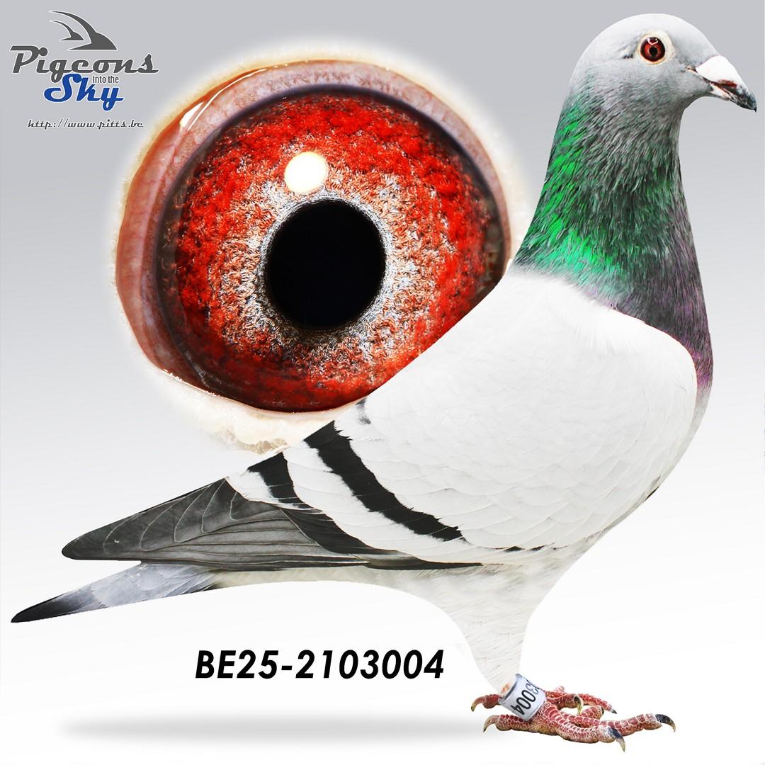 BE25-2103004
