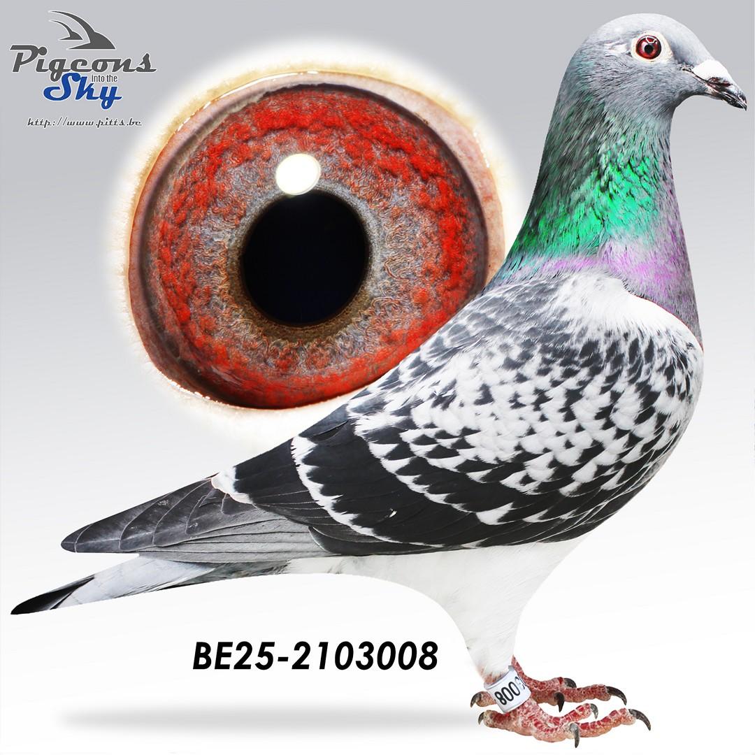 BE25-2103008
