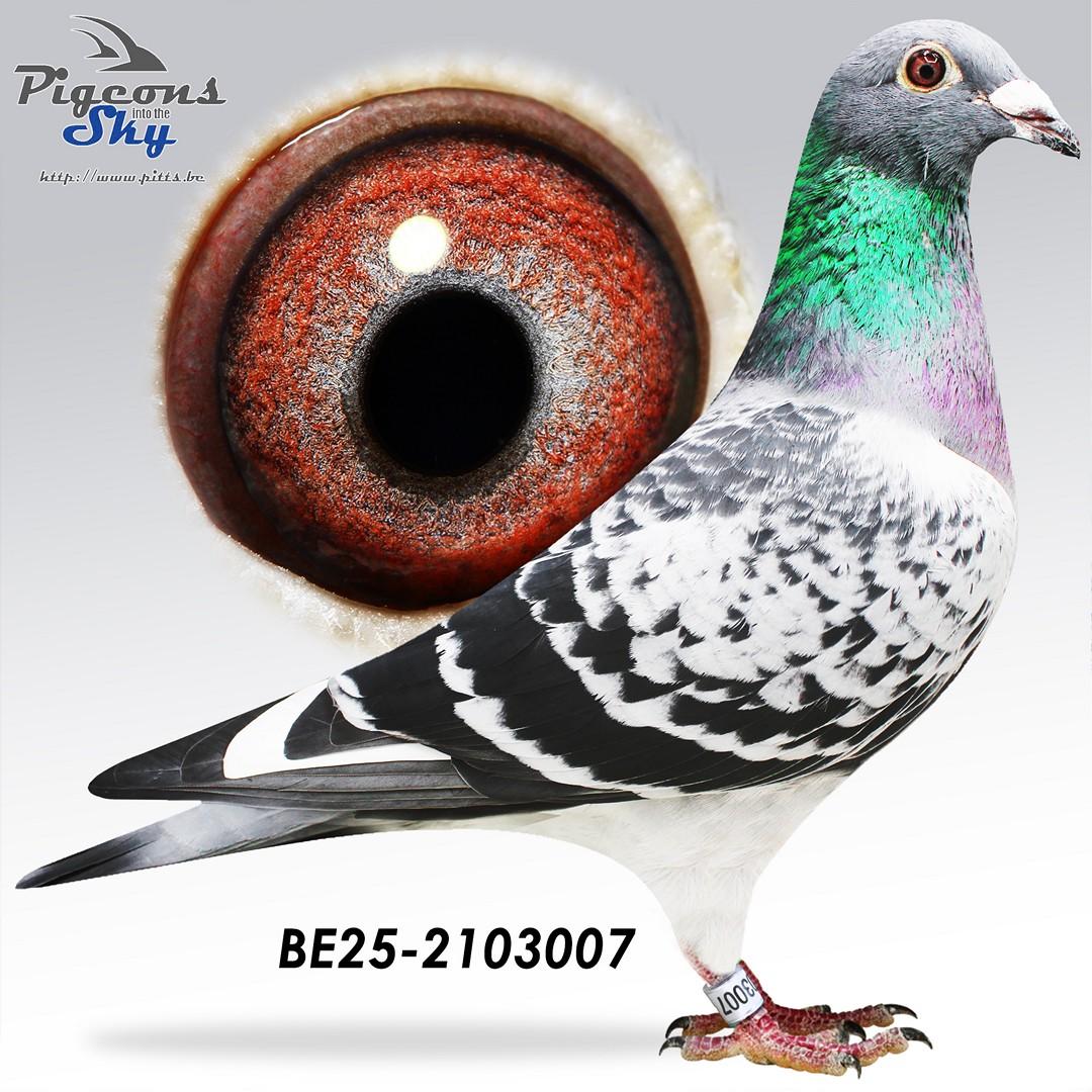 BE25-2103007