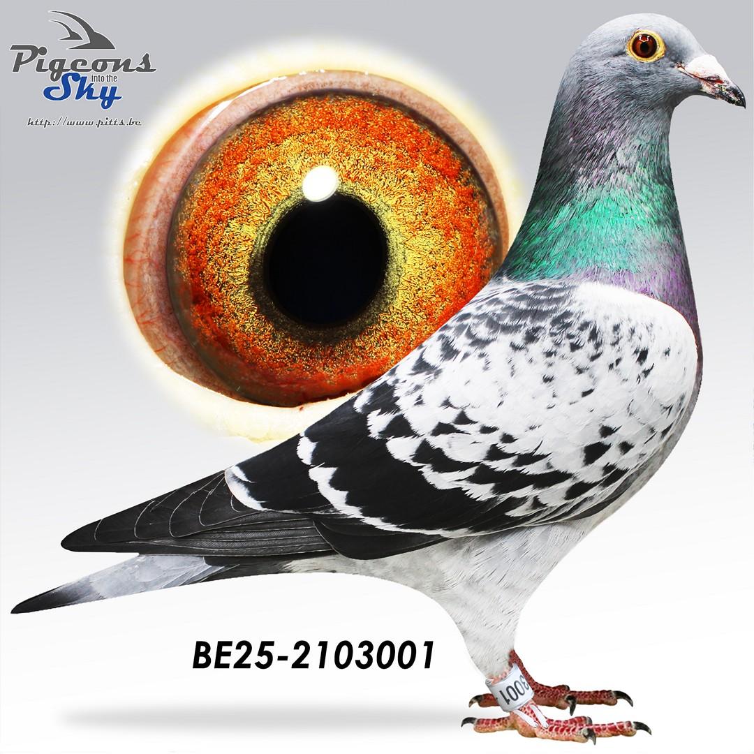 BE25-2103001