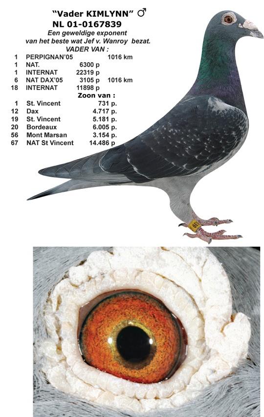 Father KIMLYNN NL01-0167839