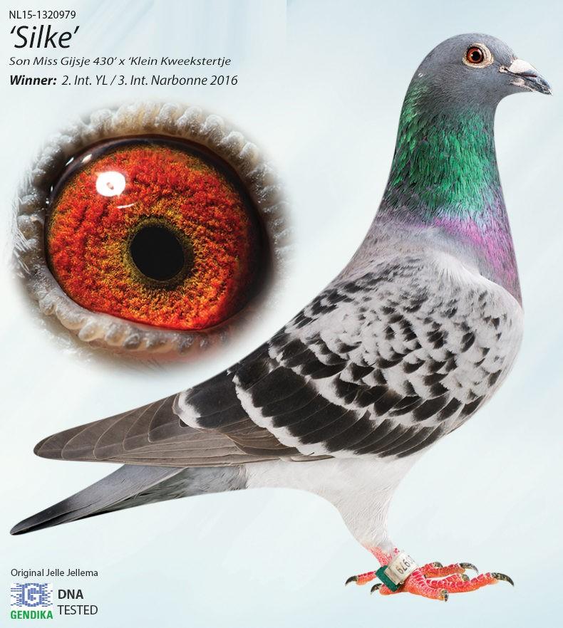 Silke Jellema NL15-1320979