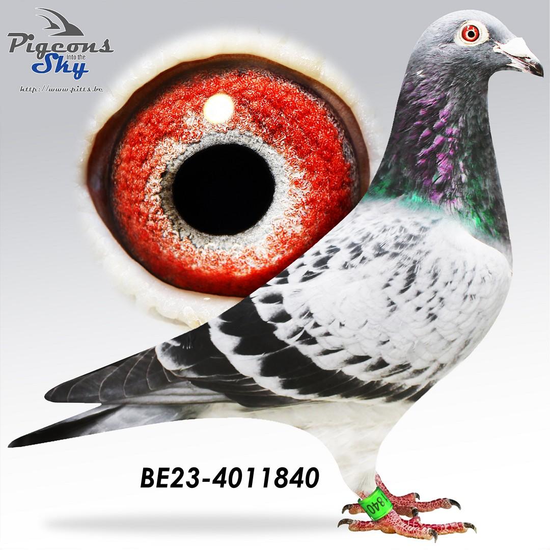 BE23-4011840