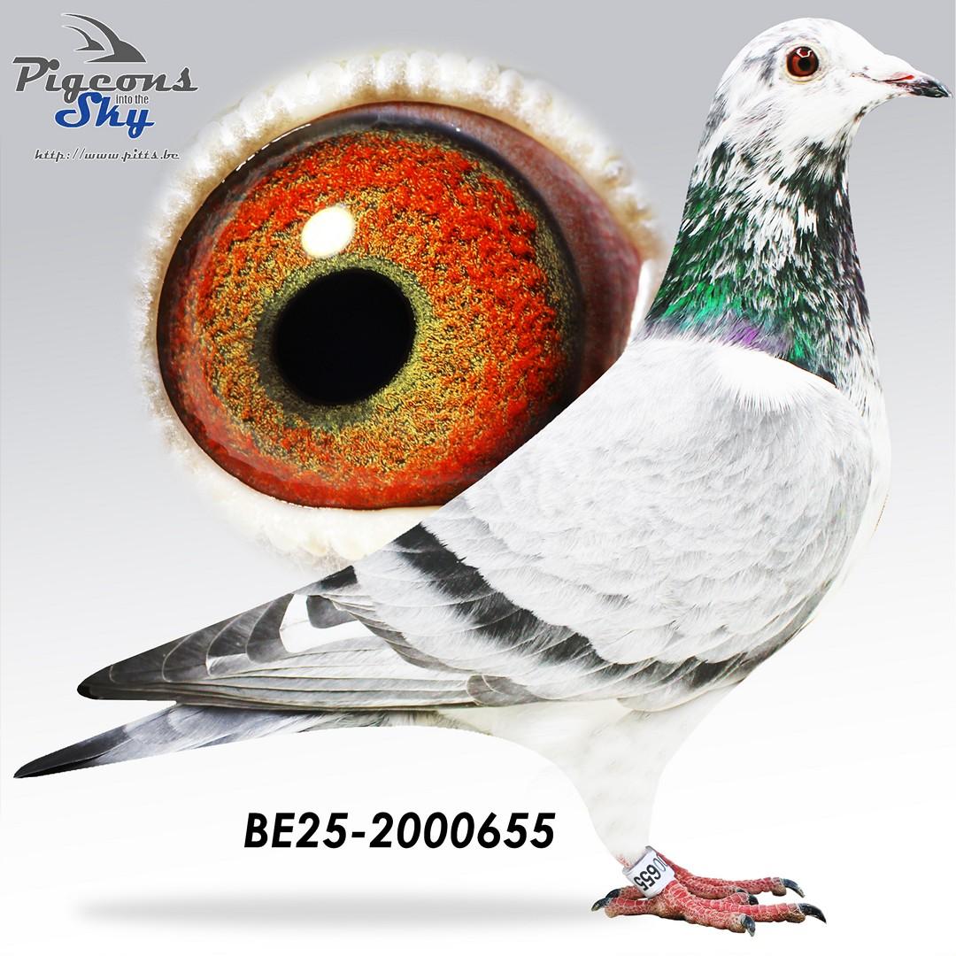 BE25-2000655