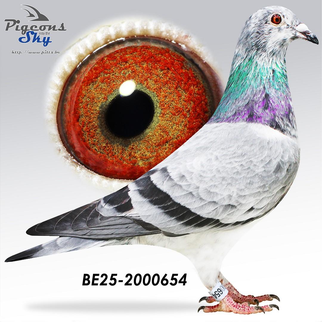 BE25-2000654