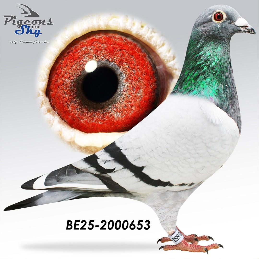 BE25-2000653
