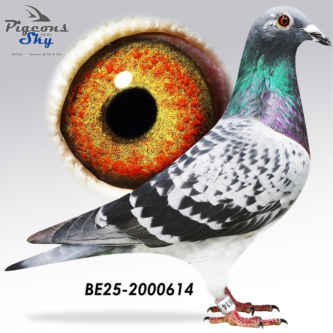 BE25-2000614