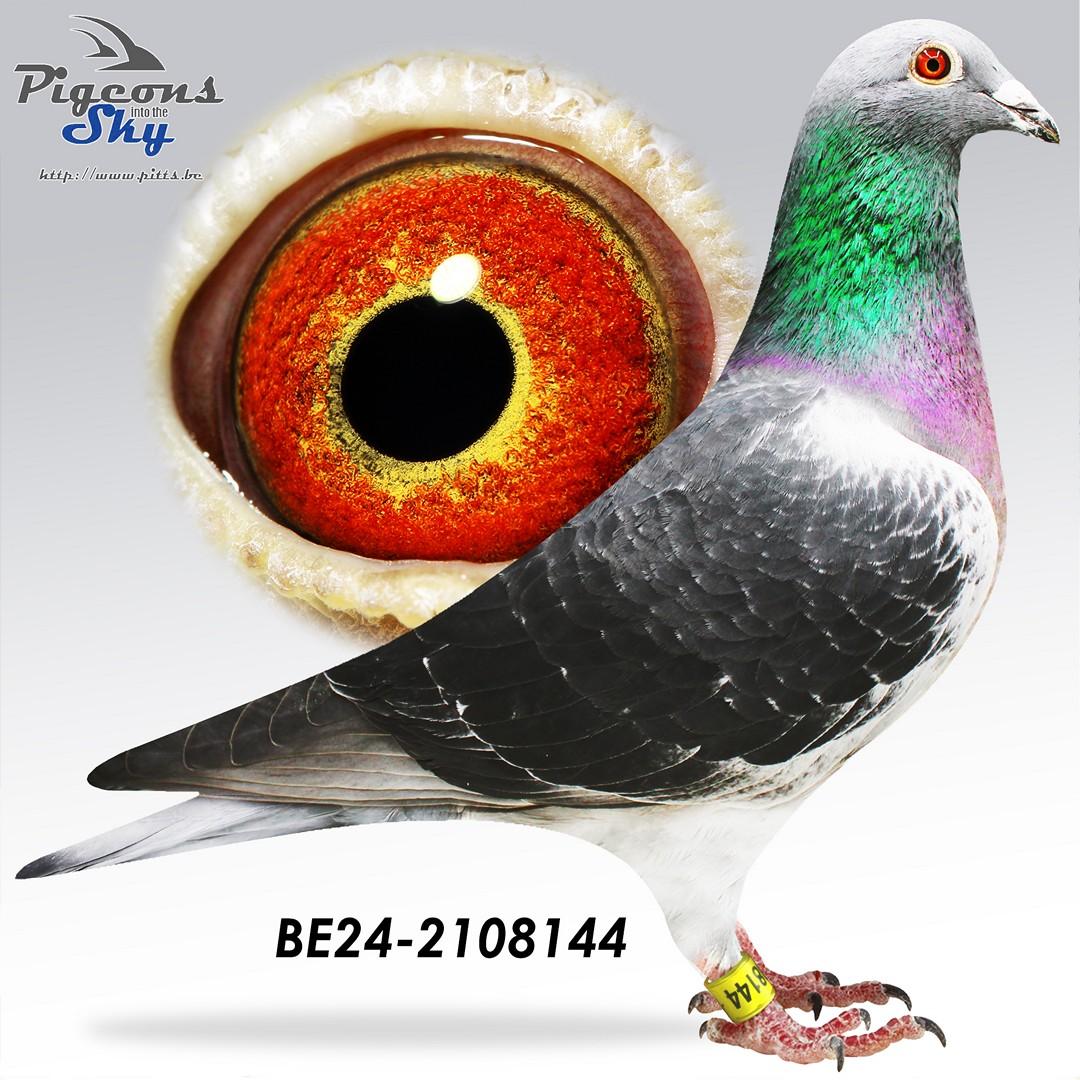 BE24-2108144