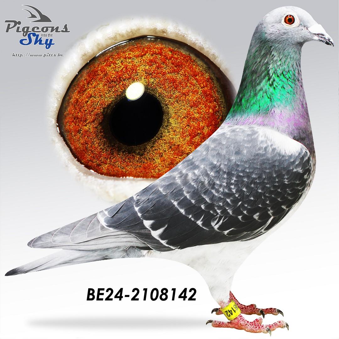 BE24-2108142