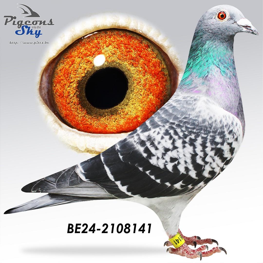 BE24-2108141