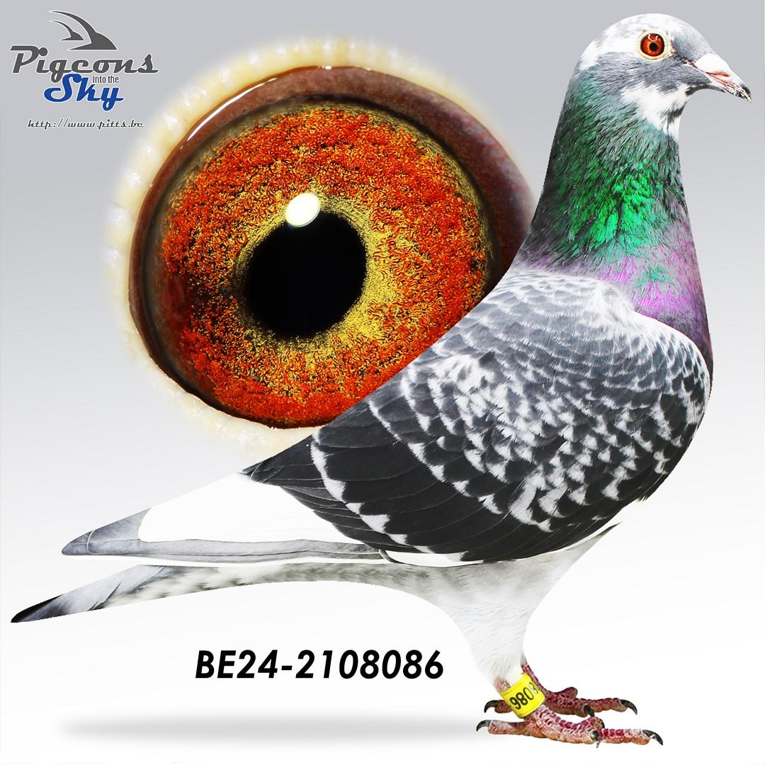 BE24-2108086