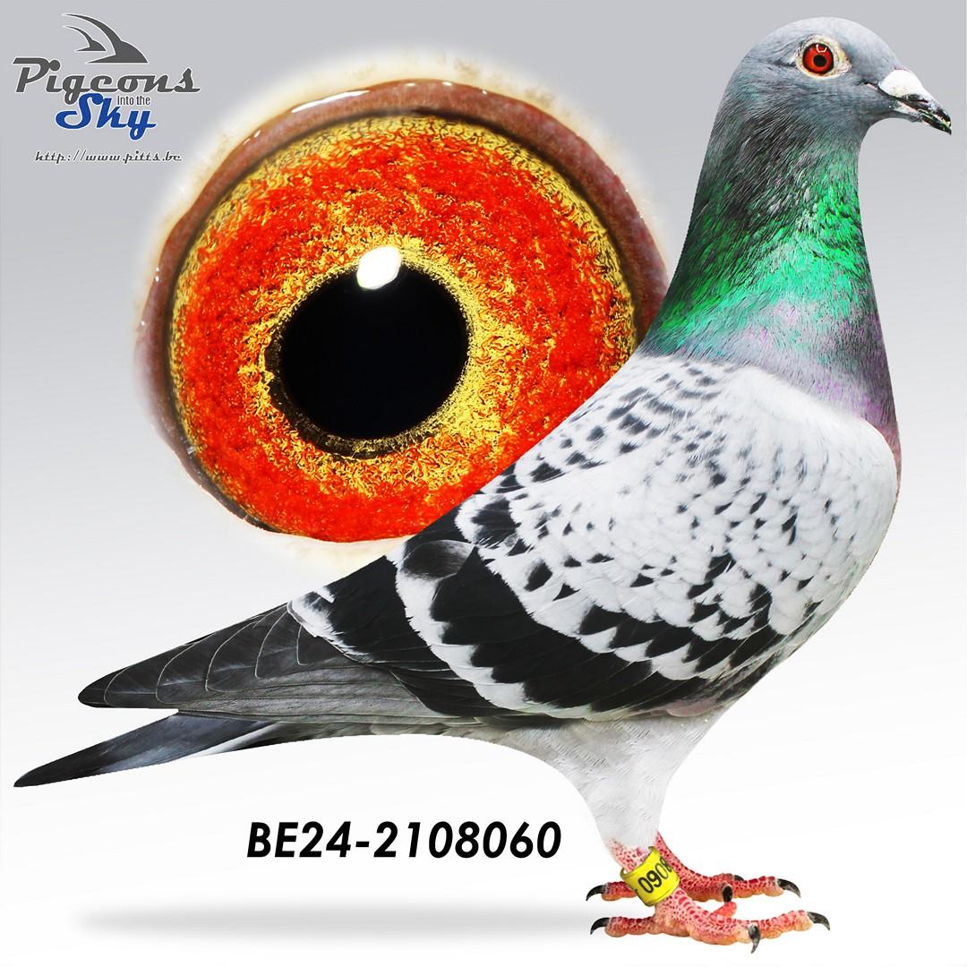 BE24-2108060