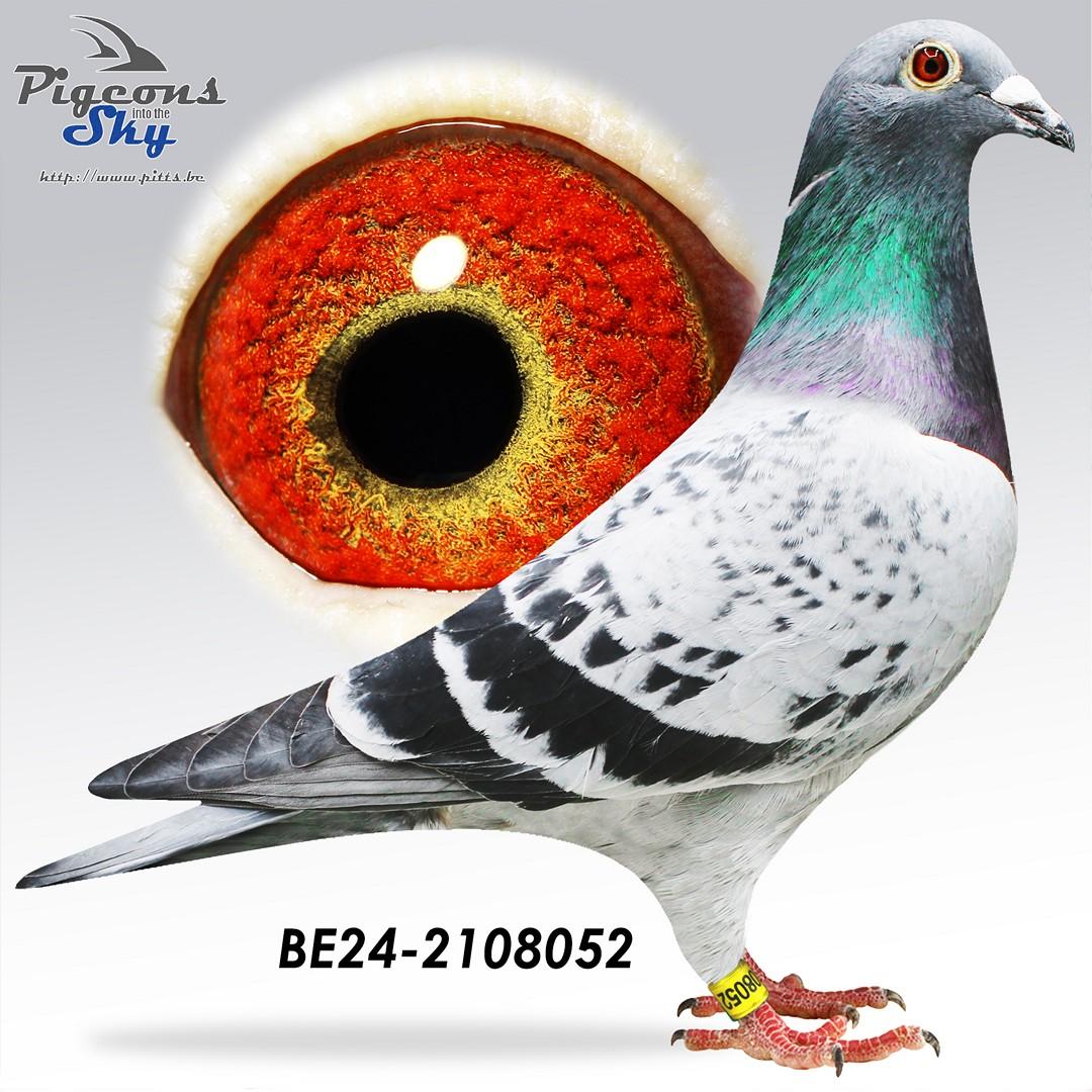 BE24-2108052