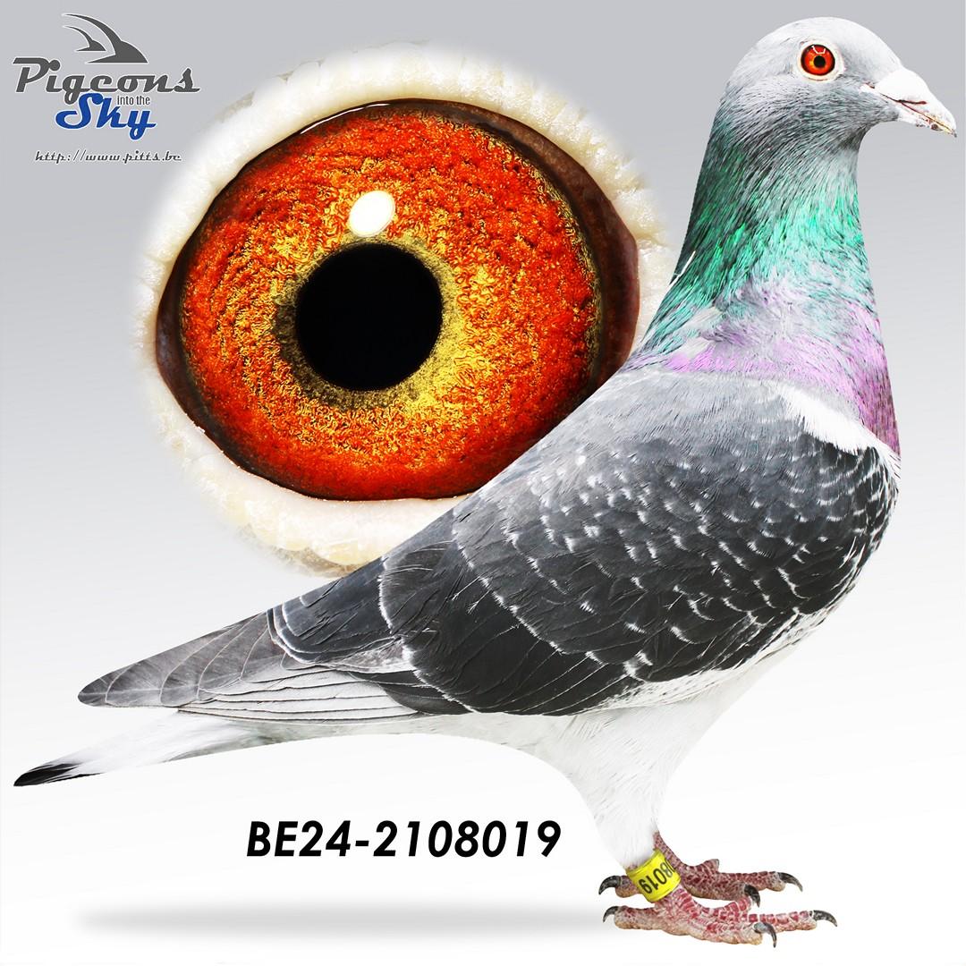 BE24-2108019