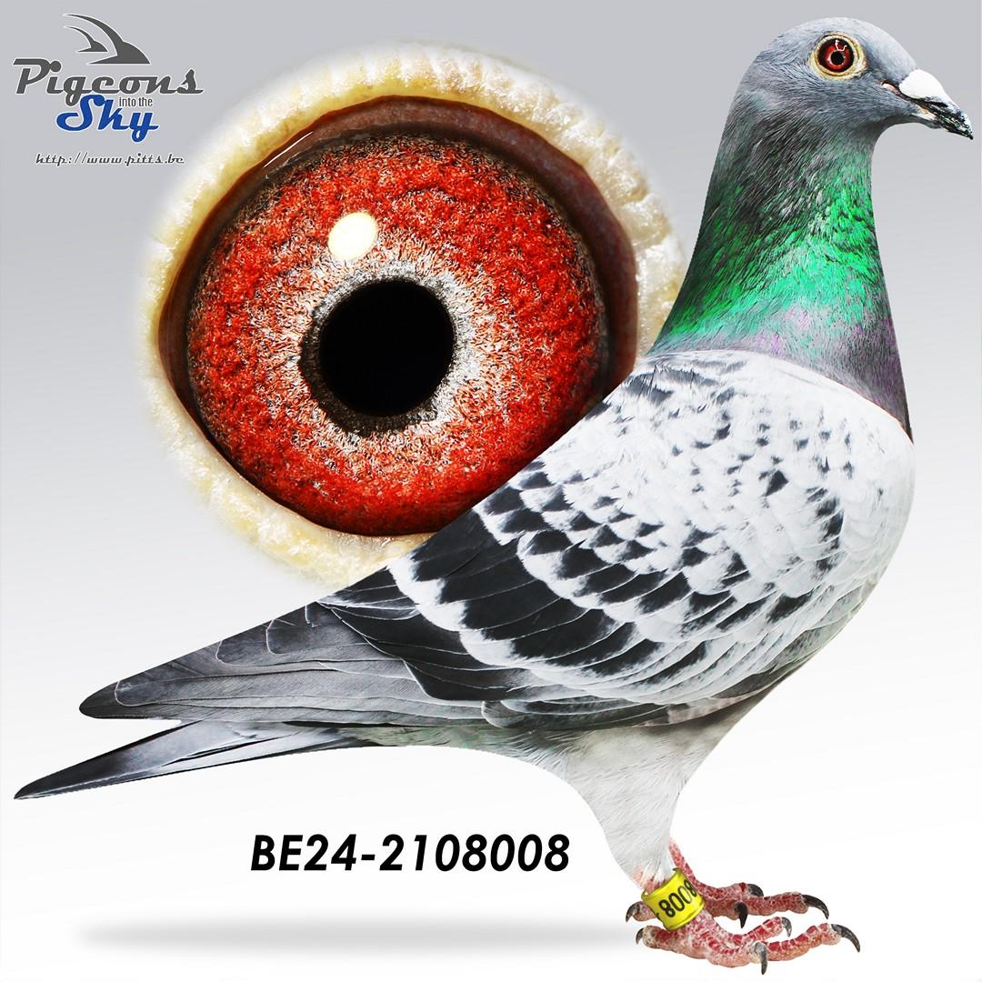 BE24-2108008