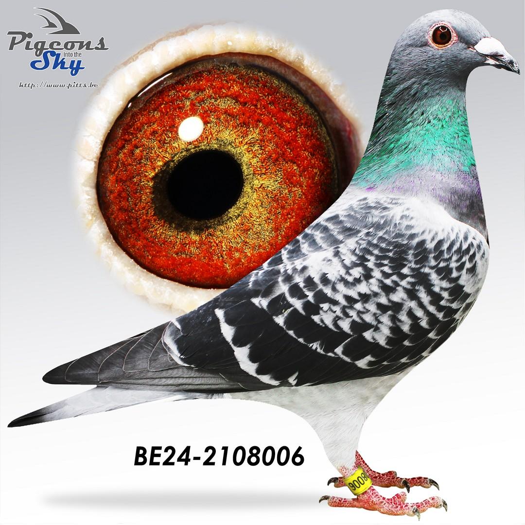BE24-2108006
