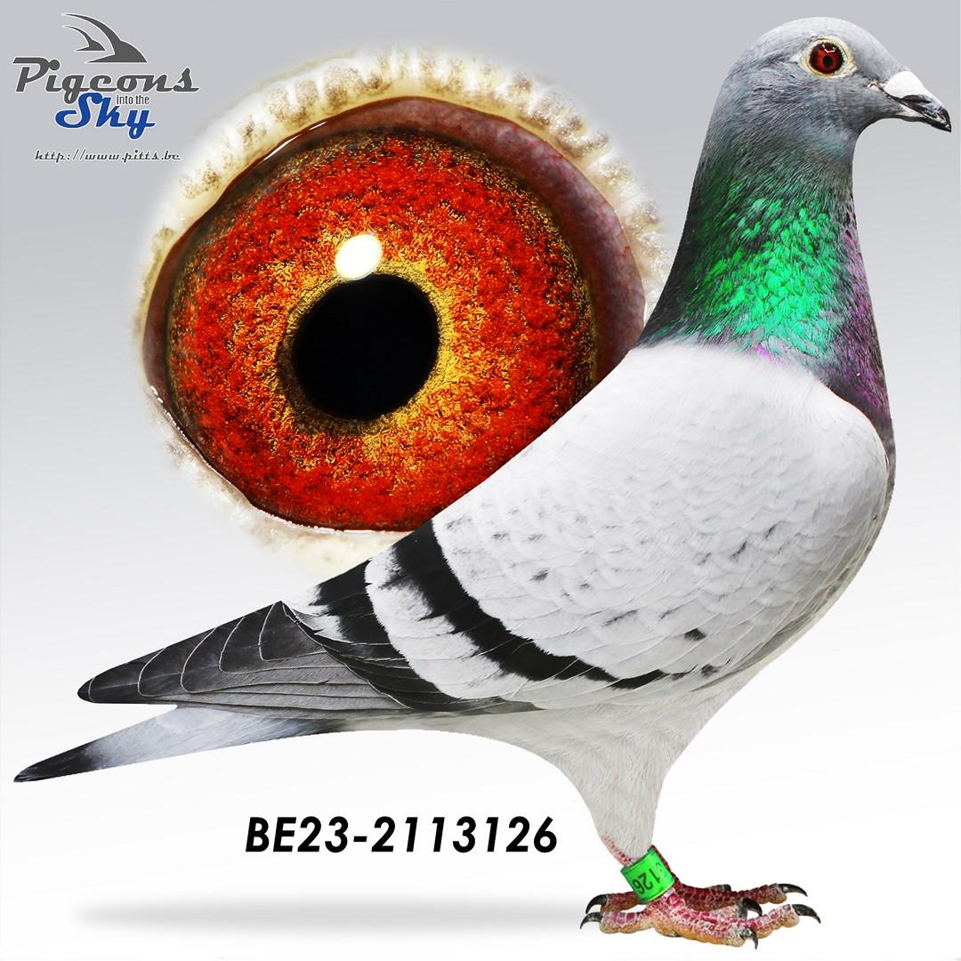 BE23-2113126
