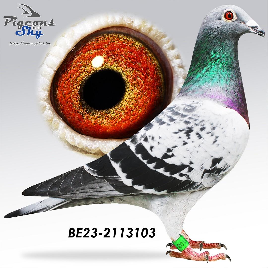 BE23-2113103