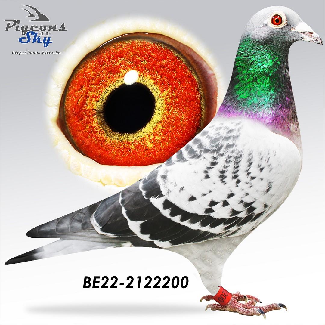 BE22-2122200
