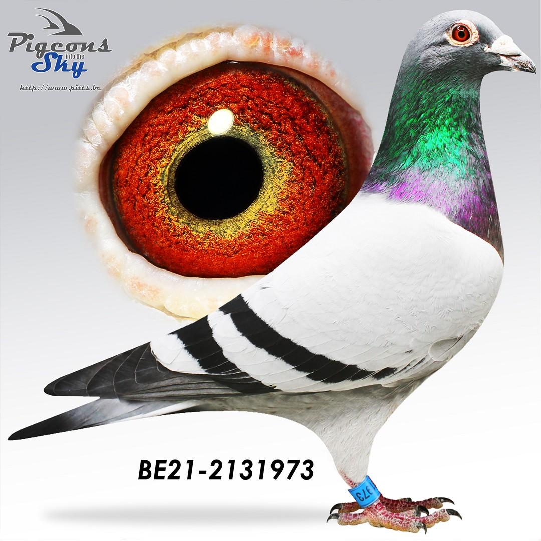 BE21-2131973