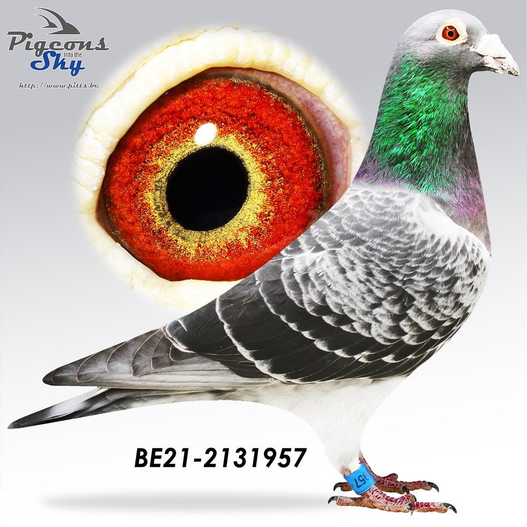 BE21-2131957