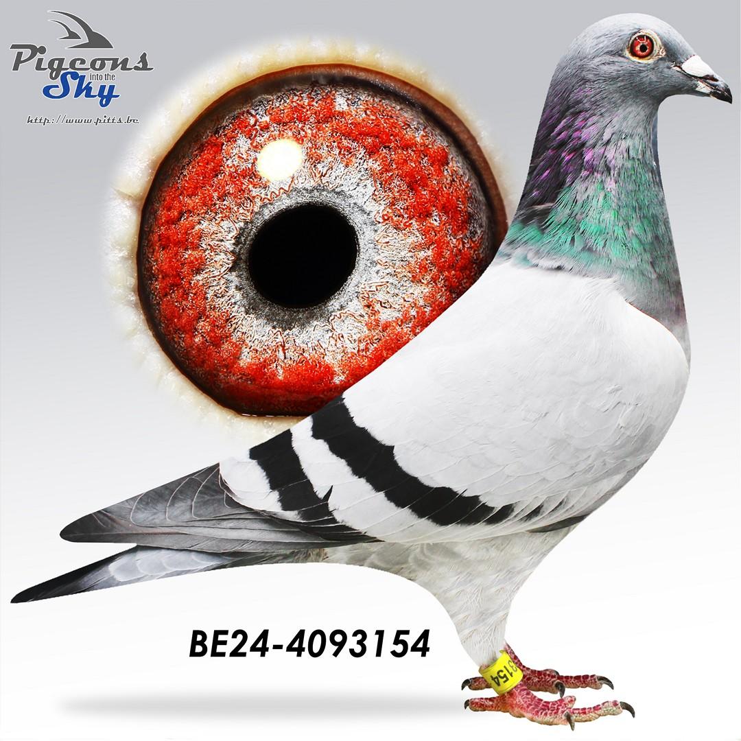 BE24-4093154