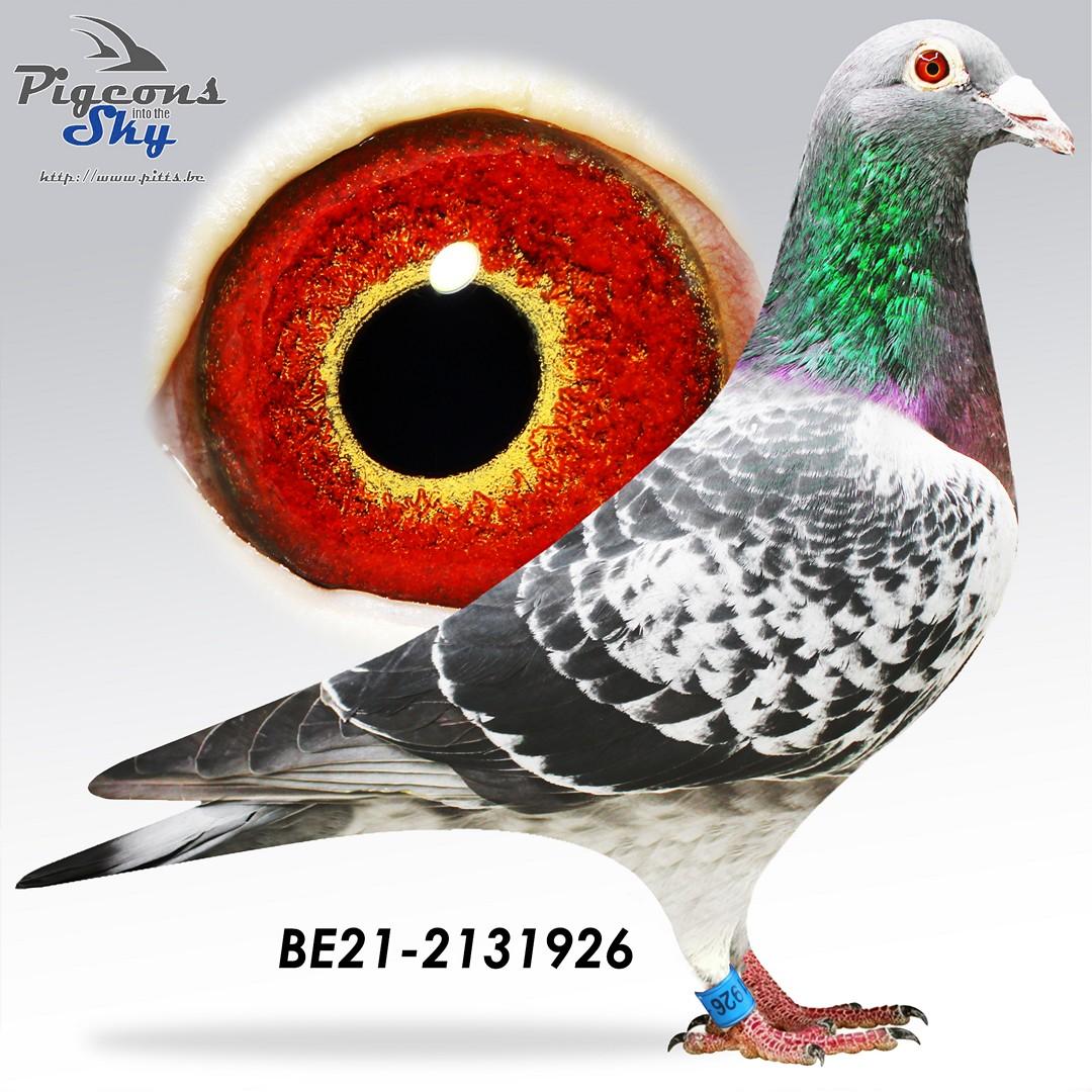 BE21-2131926
