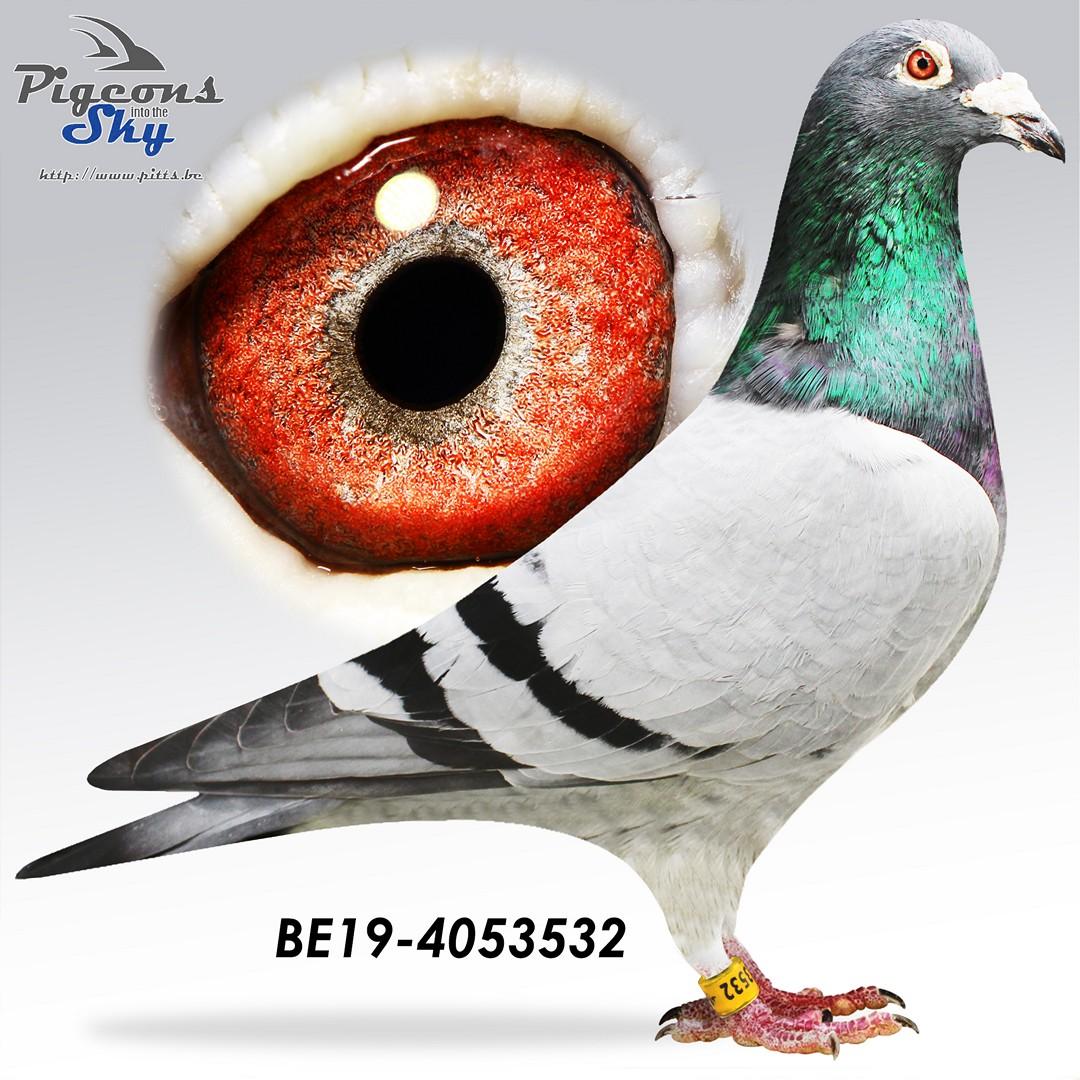 BE19-4053532